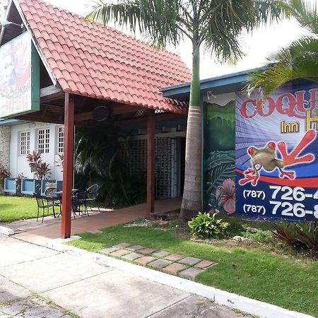 Coqui Inn Carolina Bagian luar foto